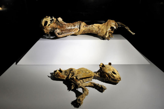 Aksaray Müzesi'nde birbirine koridorlarla bağlanan 6 teşhir salonunda tarihsel bir gelişim içinde sergileniyor" dedi.