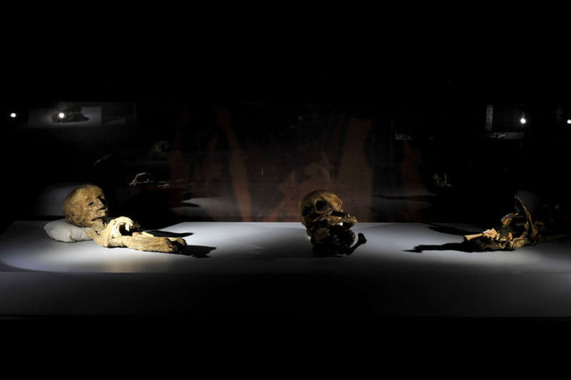 Aksaray'daki 12 mumyanın 10'u yetişkin ve çocuk mumyası, 2'si ise kedi mumyasıdır.