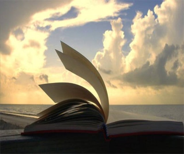 "Hayatın anlamı"nı sattı: Bir uyanık arkadaş internette hayatın anlamını satışa çıkardı! Bu ürün insanlara çok cazip gelmemiş olsa da 10.50 dolarlık bir teklif almayı da başardı. -