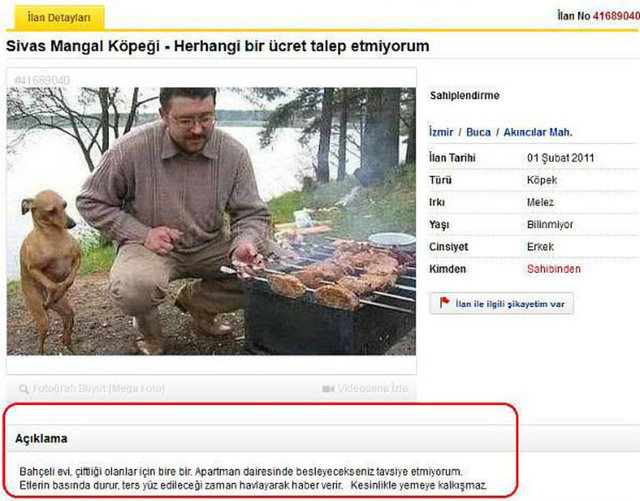 İNTERNETTE BUNLARI DA SATIŞA ÇIKARDILAR!Sivas Mangal Köpeği: Sivas Kangal değil, mangal köpeği etleri kesinlikle yemiyor ve pişince sahibine havlayarak haber veriyor.