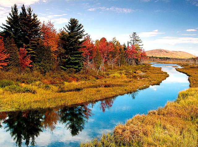 Hayatın anlamı: Hayatın anlamını çözen bir kişi bunu internet üzerinden satmak istemiş ve 10,5 dolara teklifleri almaya başlamış.