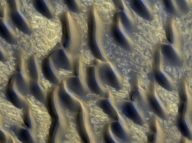 37. Her yıl, Sahra Çölü'nden Amazon Ormanları'na 40 milyon ton ağırlığında, besince zengin kum taneleri uçmaktadır.