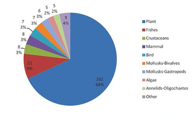 45. Tüm türlerin yaklaşık olarak sadece %14'ü tanımlanabilmiştir.