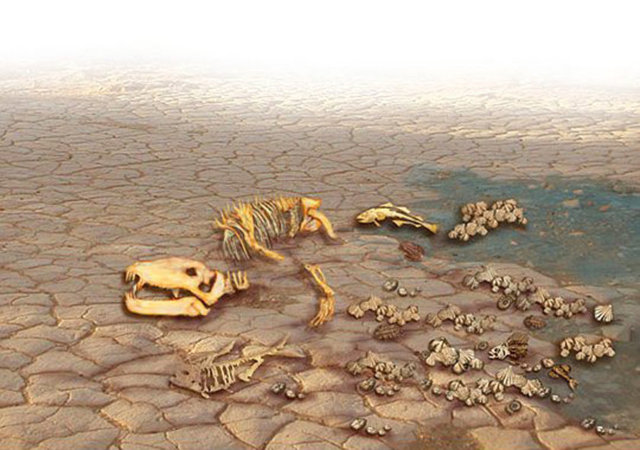 43. Önümüzdeki 300 yıl içerisinde, günümüzde var olan türlerin tamamının %75'inin soyu tükenecektir.