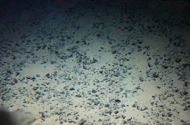 35. Dünya'nın en derin noktasında (karada) yaşayan ve yüzeyin 2.8 KM altında bulunan bakteriler hayatta kalabilmek için uranyumdan yayılan radyoaktiviteyi kullanarak suyu kullanılabilir enerjiye dönüştürecek bir metot evrimleştirmiştir.