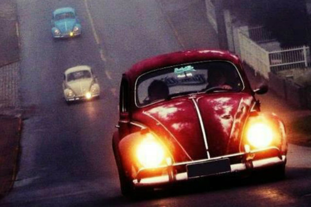 Volkswagen Beetle  -