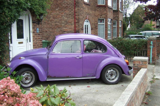 Volkswagen Beetle