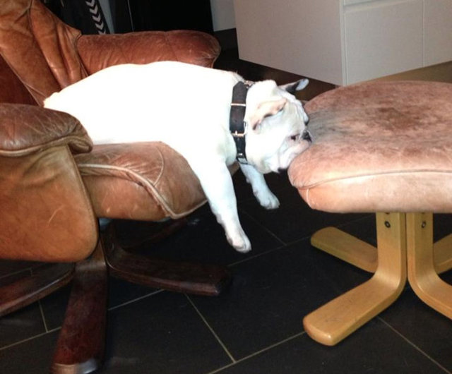 ''O son mamayı yemeyecektim...''