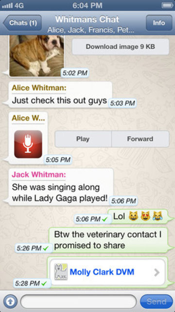 WHATSAPP: Anlık mesajlaşma yazılımlarının mobil cihazlardaki yeni efsanesi olan WhatsApp'ın, aylık 200 Milyon'dan fazla aktif kullanıcısı bulunuyor. Uygulama, grup sohbetler, fotoğraf, video, ses paylaşımıyla kullanıcıların vazgeçilmezi olmuş durumda.