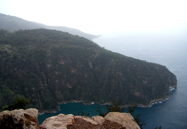 Faralya