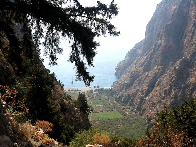 Faralya -