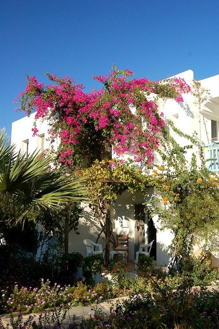 Bodrum Ortakent