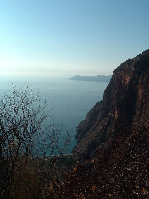 Faralya