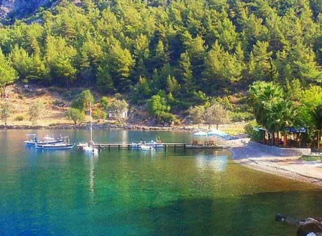 Selimiye-Söğüt