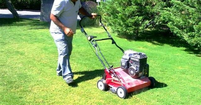 Çimlerin kesilen kısımları yine gübre için kullanılsın.