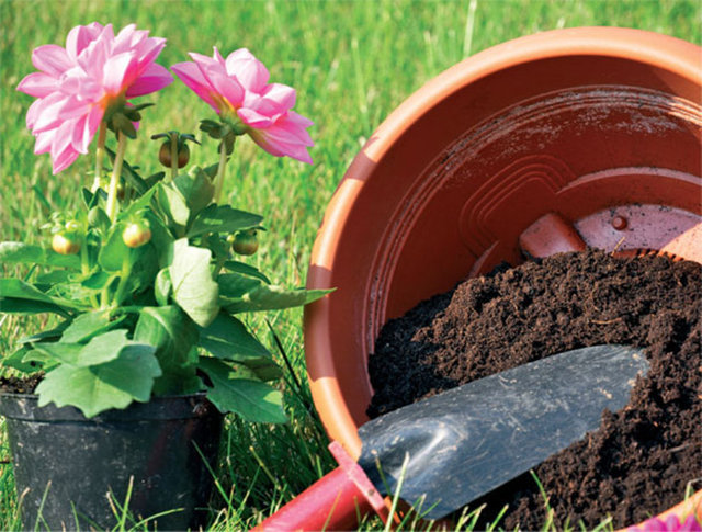 BAHÇE GÜBRESİ:  Yeraltı sularına zarar veriyor.