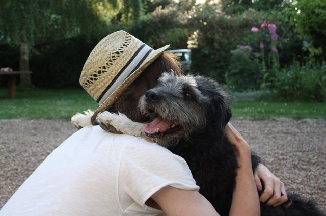 Kedi/Köpek sevin:  - Mahşer gibi bir günün sonunda ruhunuzu 5 dakikada şarj etmenin yolu kedinize/köpeğinize sarılmak kadar kolay... Ya da stres anında en yakınınızdaki kediye ya da köpeğe sarılmayı deneyebilirsiniz. Yüzde yüz çalışıyor! -