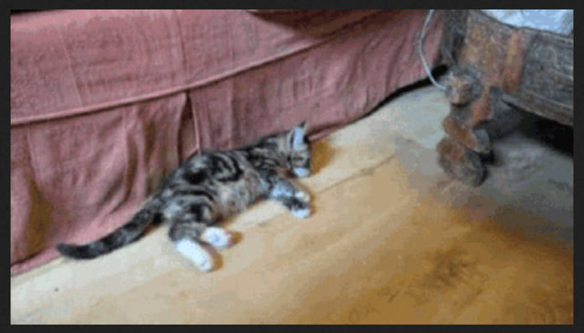 10. Eski sevgililerine ölü taklidi yapar. -