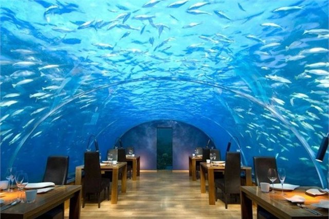 Ithaa Denizaltı Restoranı - Maldivler'de yer alan denizaltı restoranda bir akşam yemeğinin kişi başına maliyeti 320 dolar civarında.