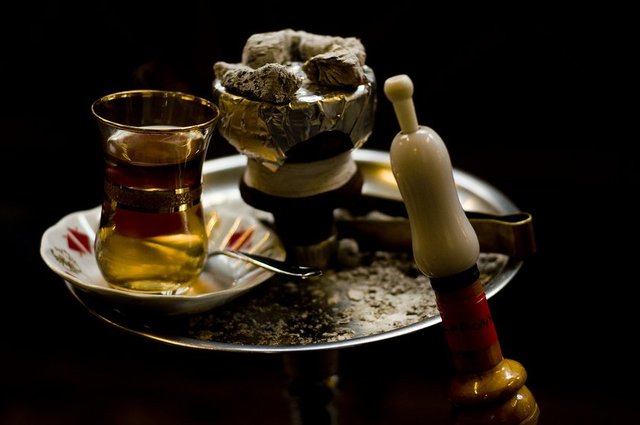 Nargilenin kalp ve damar hastalıkları, akciğer kanseri, diş eti hastalıkları, mesane kanseri, bronşit, yemek borusu kanseri, depresyon, yüksek tansiyon, Parkinson, ağız kanseri ve kısırlık gibi ciddi sağlık sorunlarına yol açtığı belirtildi.