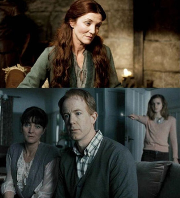 Dizide "Catelyn Stark'ı canlandıran Michelle Fairley Harry Potter hayranları tarafından yakından tanınıyor. Çünkü Fairlet Harry Potter'da Hermoine Granger'ın annesi rolünü üstlenmiştir.