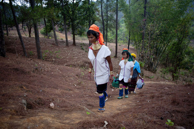 - Padaung kızlarının bunları takmasının bir nedeni var. Bazılarına göre ilk kolyeler kadınların köle ticareti yapanlara çirkin görünmesi için kullanılmış.