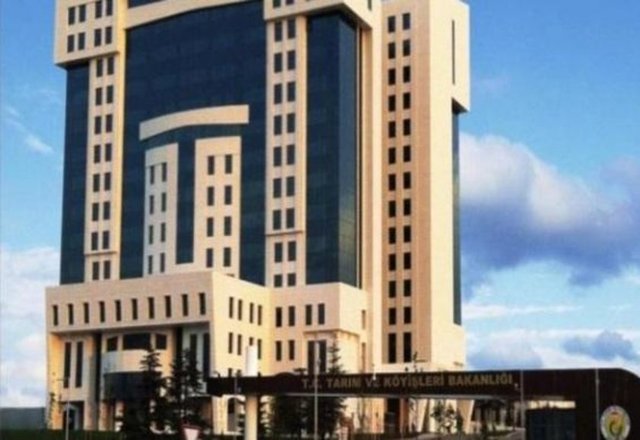 Bakan Yardımcılıkları