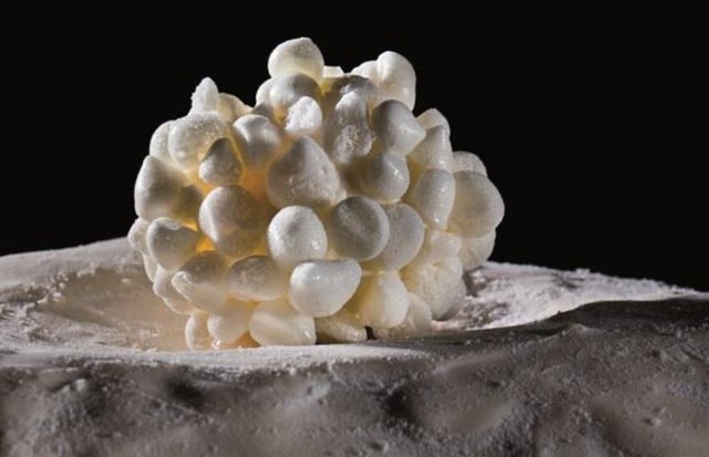 2. El Celler de Can Roca, Girona, İspanya (1)