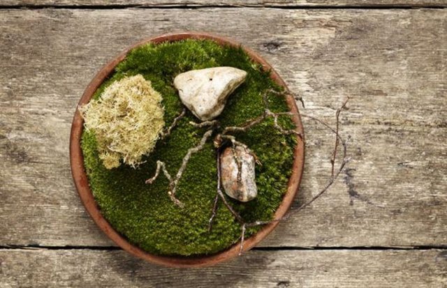 1. Noma, Kopenhag, Danimarka (2) -  - Danimarka'nın meşhur restoranının alameti farikası bölgesinde bulunan ormanlardan topladıkları bitki ve mantarlardan çok ilginç tabaklar yaratması.