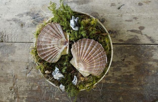 19. Faeviken, Jarpen, İsveç (34)