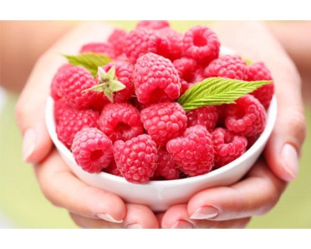 Kalp ve felç gibi hastalıkları önlenmesinde etkili olan ahududu kolesterolü de dengeler.