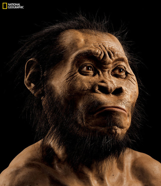 Uzmanlar kemiklerin yaşını henüz tespit edemedi fakat Homo Naledi'nin öldükten sonra mağaraya getirildiğine inanıyor.