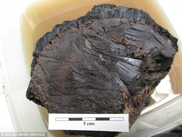 5 bin yıllık tarihe ulaşan bu ahşap yapıların kil ve turba ile korunarak alt yapısının bu kayalarla sağlamlaştırıldığı belirlendi.