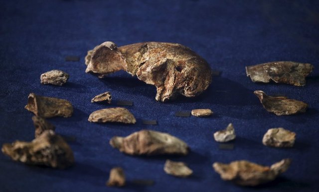 Bilim adamları, Güney Afrika'da ritüeller sonrası gömülmüş, binlerce binlerce yıl öncesine ait 15 farklı vücuttan 1500 fosilleşmiş iskelet parçası buldu.