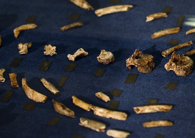 Tarihte ölüm sonrası düzenlenen ritüellerin sadece Homo Sapiens'e ait olduğunu düşünüyorduk" diyen Berger, keşifle beraber bu inancın yerle bir olduğunu ifade ediyor.