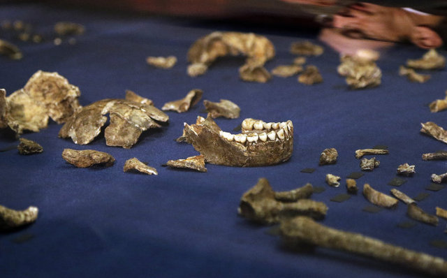 The Independent'ın haberine göre; Johannesburg şehri yakınlarında bulunan bir mağarada 15 farklı vücuda ait 1500 fosilleşmiş iskelet parçası bulundu. Johannesburg'daki Witwatersrand Üniversitesi'nden Prof. Lee Berger...