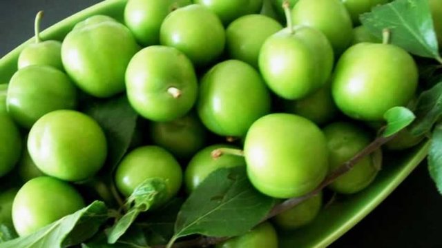 Bağ dokuları güçlendirir.