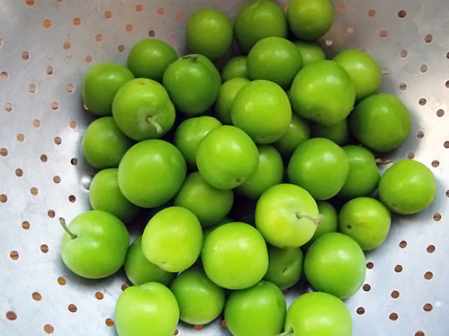 Akciğer kanseri, astım ve soğuk algınlığı gibi sorunların giderilmesine yardımcı olur.