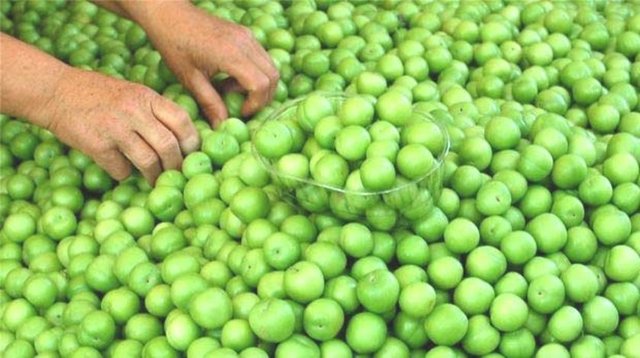 Kansızlıkta etkilidir.