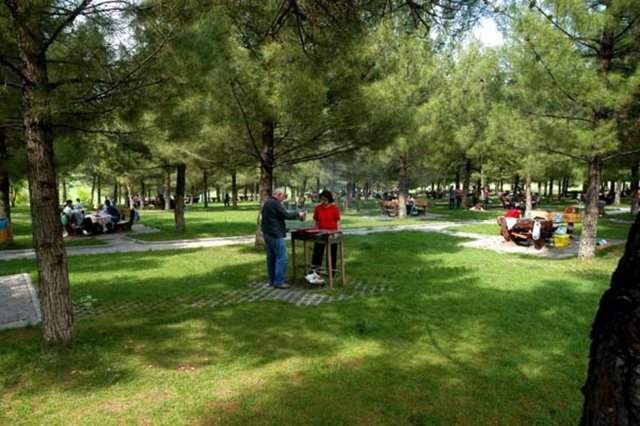 Bu dönemde ateş, halsizlik, baş ağrısı, eklem ve kas ağrısı görülebiliyor. Bu dönemde uygun antibiyotik tedavi verilmezse Evre 2 (erken yaygın enfeksiyon) dönemi gelişiyor.