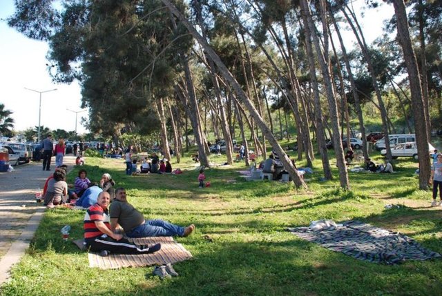 Baharın gelişiyle doğa canlanmaya, en güzel kıyafetlerini giymeye, ağaçlar yapraklanmaya başladı. Isınmaya yüz tutan havalarla birlikte piknik sezonu da açıldı. Buraya kadar güzel ama bu güzelliklerin kabusa dönüşmemesi için aman dikkat!