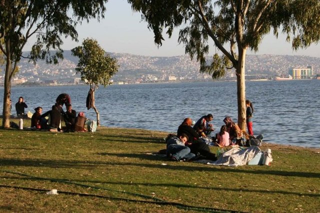 Prof. Dr. Kocagöz "Karların erimesinden ağaçların yapraklanmaya başlaması ve yaprakların dökülmesine kadar olan geniş zaman dilimi maalesef keneler nedeniyle riskli. Keneler de ortaya çıkmaya, uyanmaya başlıyorlar" diyor.