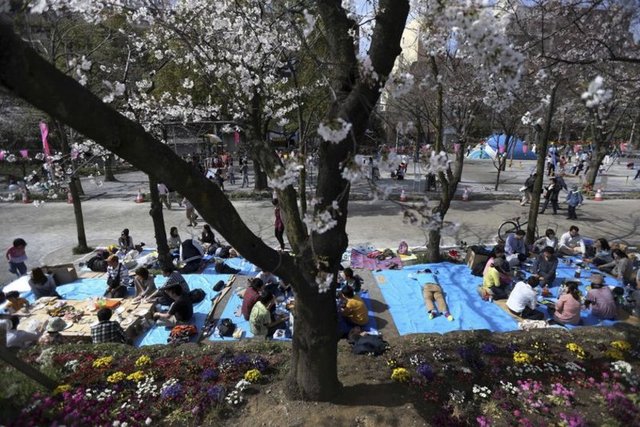 Keneler nedeniyle piknik alanlarının ilaçlanması durumunda doğadaki diğer yararlı böceklerin de yok edileceğini belirten Prof. Dr. Kocagöz "Keneyi yok edeceğiz derken doğayı da bozuyoruz.