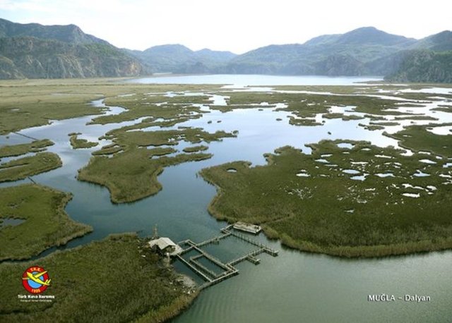 MUĞLA-DALYAN