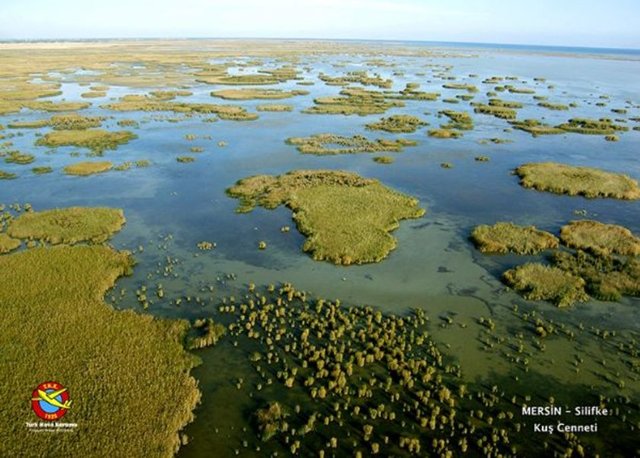 MERSİN-SİLİFKE-Kuş Cenneti