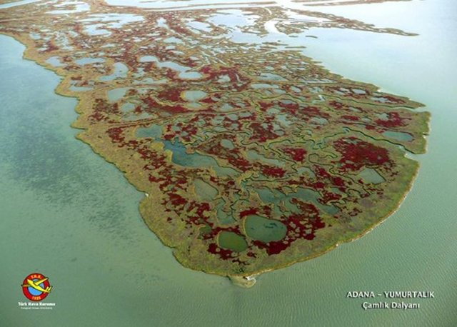 ADANA-YUMURTALIK-Çamlık Dalyanı - Çekilen 10 bin fotoğraf arasından 173 fotoğraf seçildi. "Gökyüzünden Türkiye Manzaraları" fotoğraf sergisinin Türkiye'yi dolaşmasına karar verildi ve ilk sergi Antalya Havalimanı'nda açıldı. -