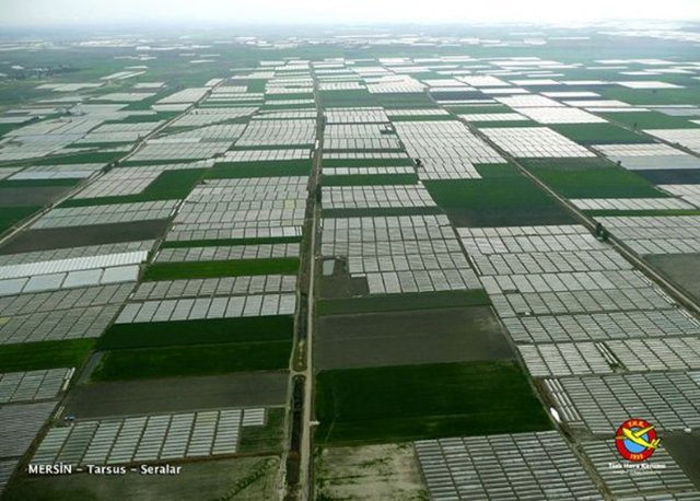 MERSiN-TARSUS-Seralar