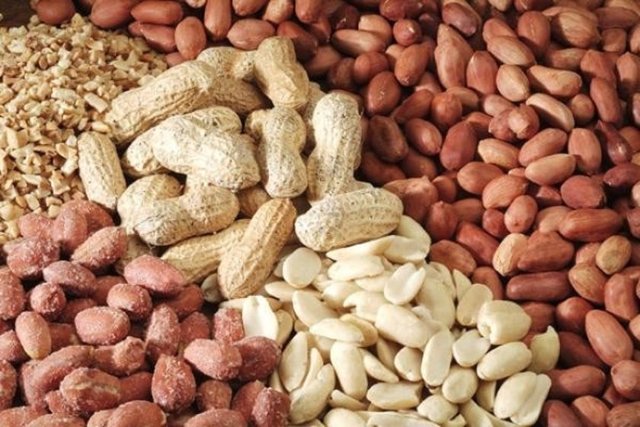 Yer Fıstığı: Besin alerjilerine bağlı ölümlerin başında yer fıstığa alerjisi olanlardan kaynaklanıyor.