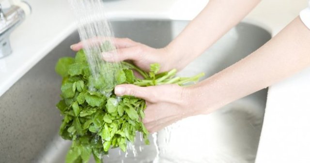 Gıdalara bağlı salgınlar ve hastalıklar söz konusu olunca, Koli Basili gibi bakteriler nedeniyle fatura en çok yeşilliklere kesiliyor. Bu yüzden, yeşillikleri tüketmeden önce mutlaka iyice yıkamak gerekiyor.