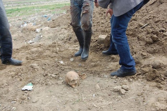 Hayvan pazarı inşaat alanına gelen olay yeri inceleme ekipleri, kafatasını ve kemikleri topladı.